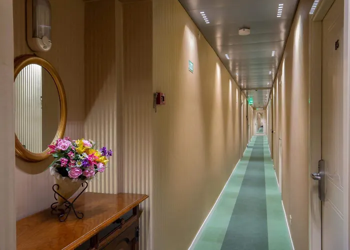 酒店 多瑞卡酒店 3*